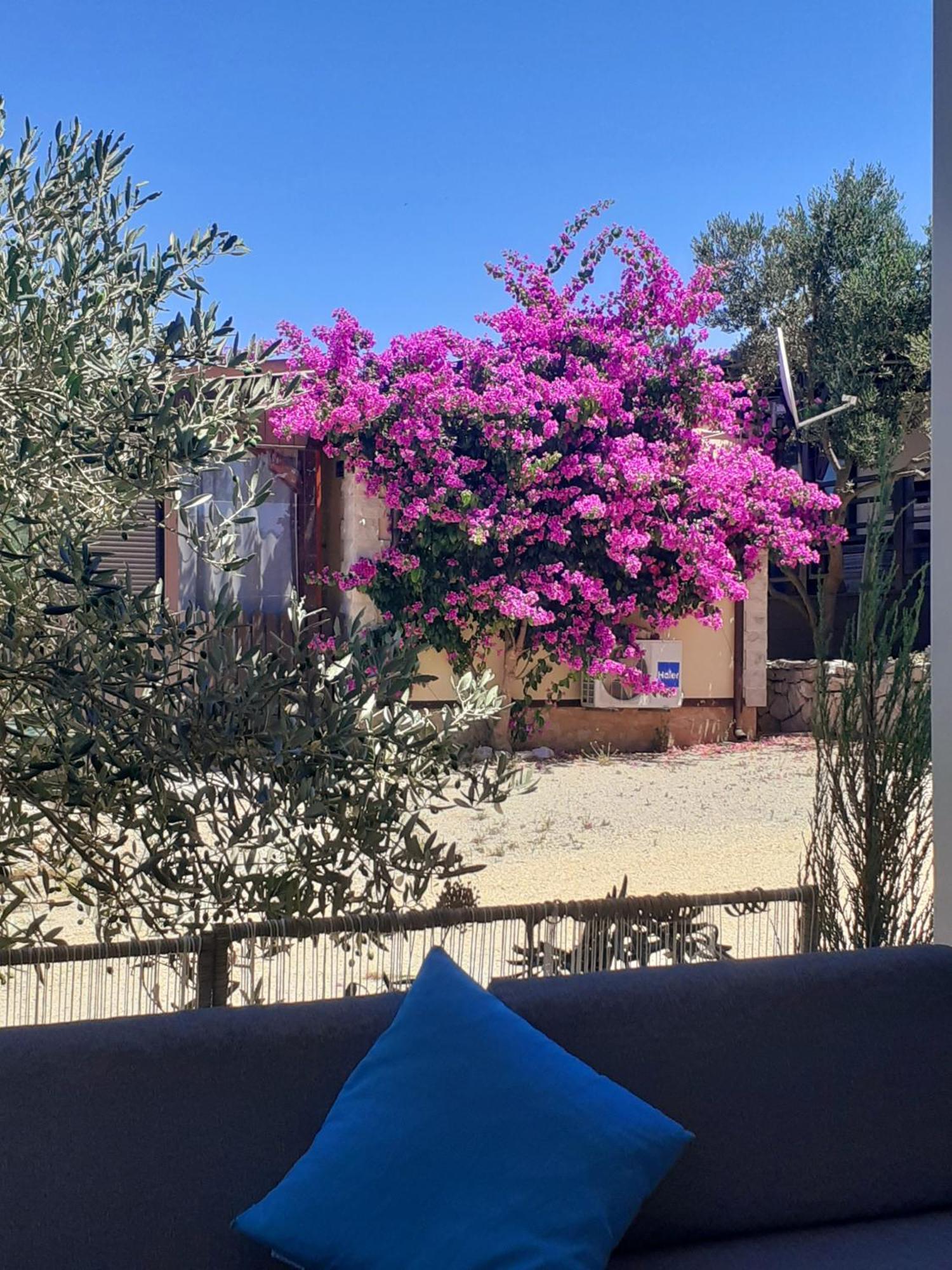 Eden Lady Mobile Home, Croatia, Drage Exterior photo